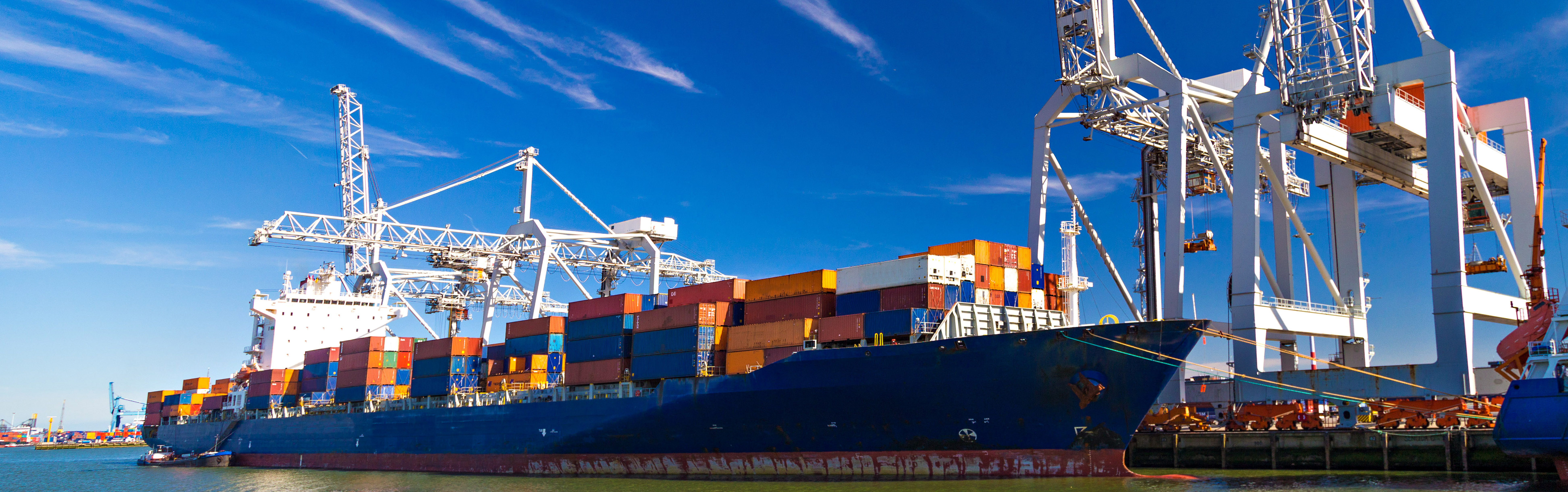 Cargo Inspection Services