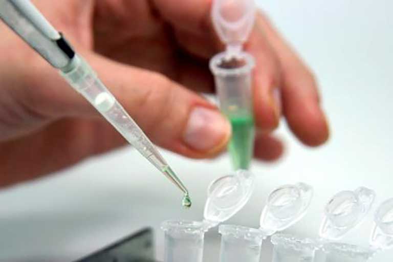 Testing Services