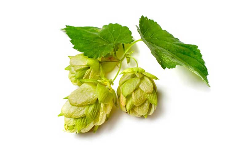 Agricultural Products Testing